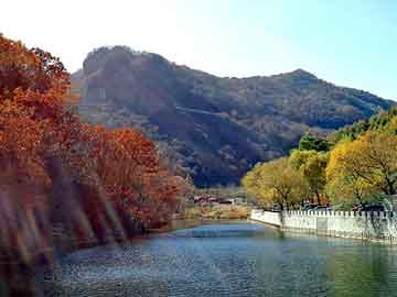 ​安图生物股票代码揭秘，深入了解企业价值与发展前景