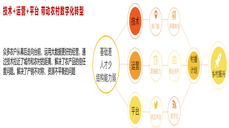 淘分销27日回顾，电商领域的重要地位与影响深度解析