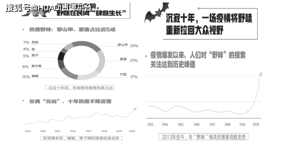 南充市最新冠状病毒防控进展报告解析，重点关注要点与最新进展