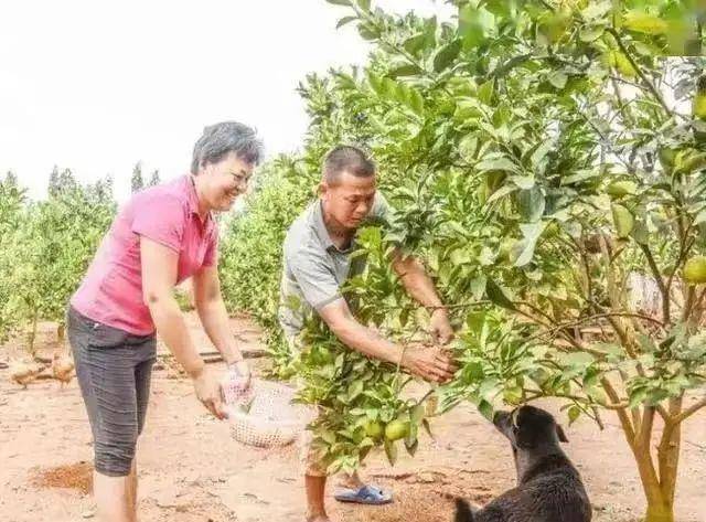 揭秘全红婵最新动态与成长轨迹，最新消息一览