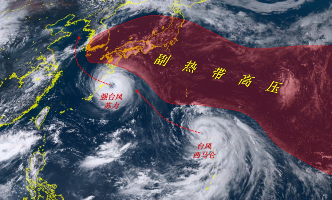 最新台风苏力深度分析与科普解读，11月1日动态报告