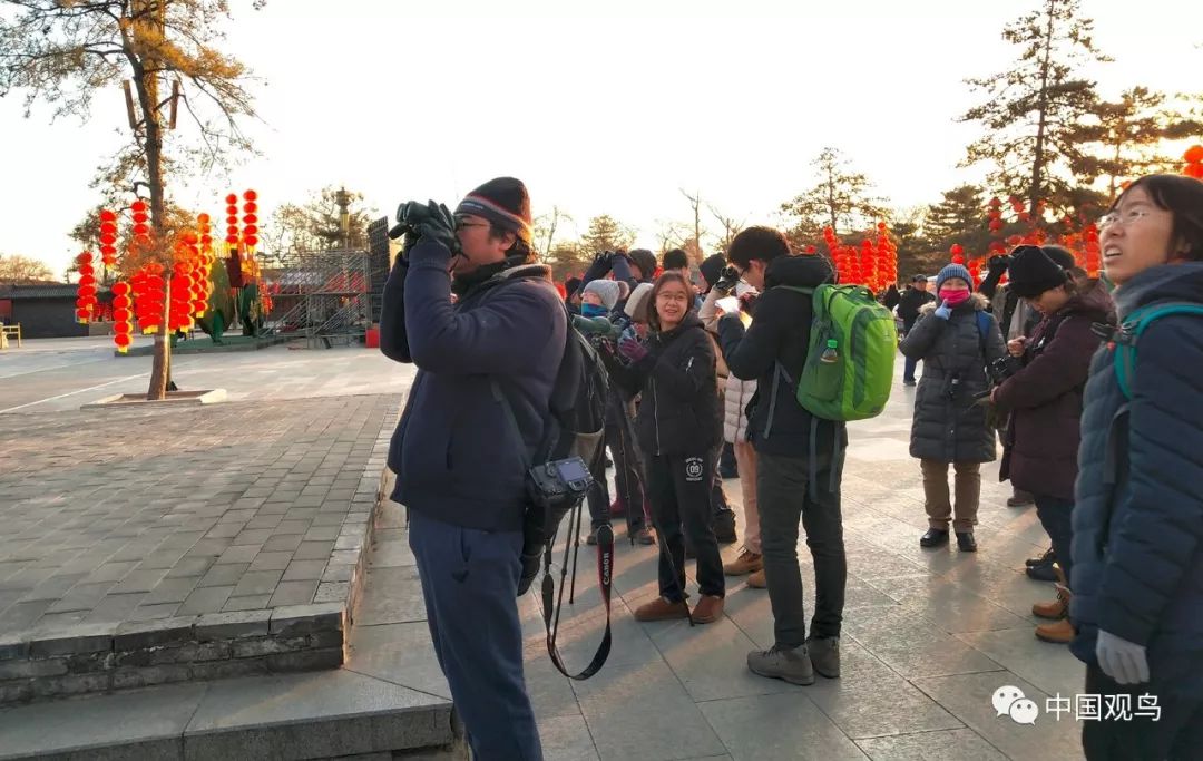 伏鹰小说最新动态，11月1日发布，值得一读吗？