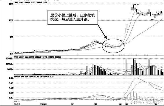 看香港正版精准特马资料,实地定义解答解释_36.815