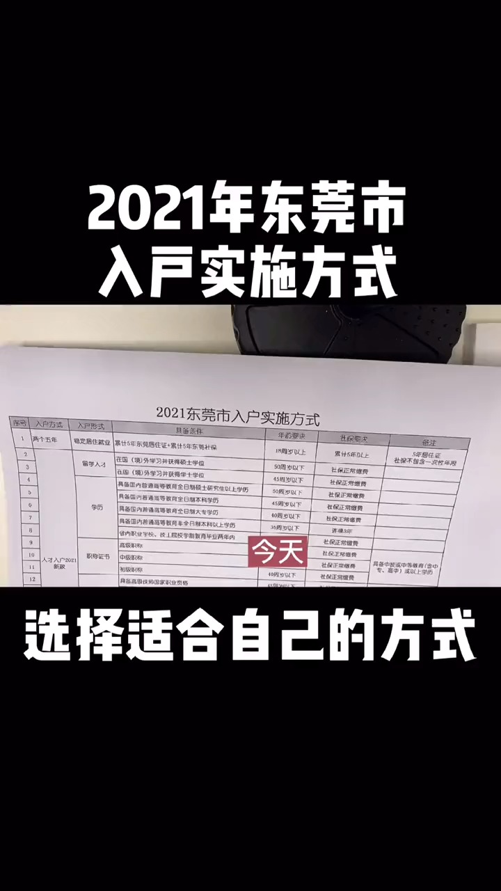 新闻动态 第528页