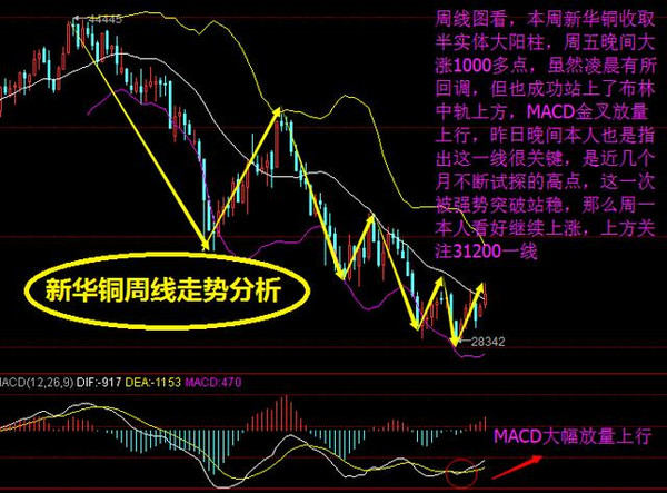 今晚澳门特马开的什么,标准化解答落实目标_动能版66.732