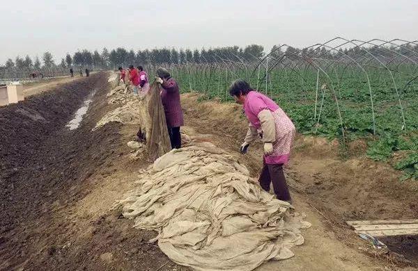 11月4日生肖奇缘揭秘，神秘开码之旅与友情闪耀的时刻