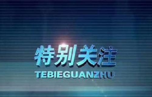 2024澳门资料免费大全,权威解答解释方案_实况款3.265