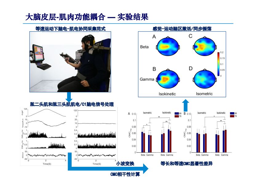 新澳精选资料免费提供,动态评估解答解释方法_增强版36.810