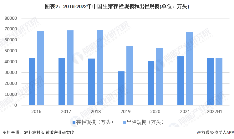 2024新澳门开奖结果,数据导向实施策略_可变版48.541