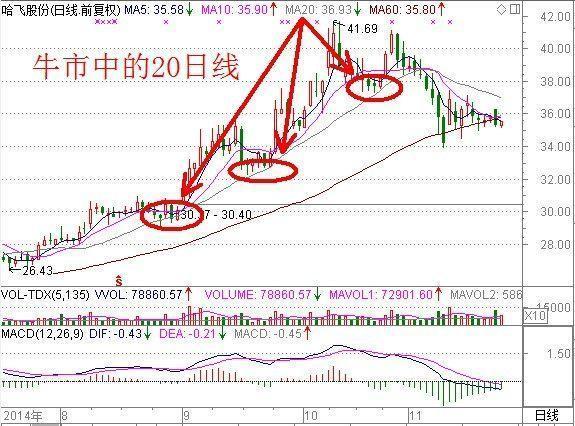 11月4日云储币最新动态，变化中的学习之旅，自信与成就感的源泉