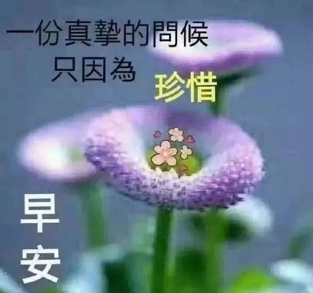 11月4日早安朋友圈，开启变化中的学习之旅，自信与成就感的奇妙碰撞新篇章