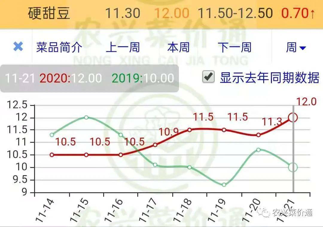 11月4日白菜价格行情分析及购买指南