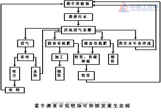 新澳门精准资料免费,可靠策略操作方案_战略版51.729