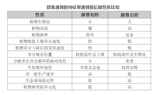 新奥门特免费资料,全面掌握解答解释计划_试用版65.165