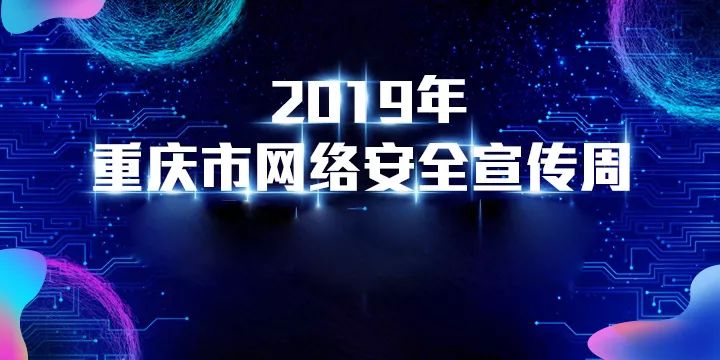 11月8日最新播放页回顾与探析，聚焦热点内容，深度解读当日资讯