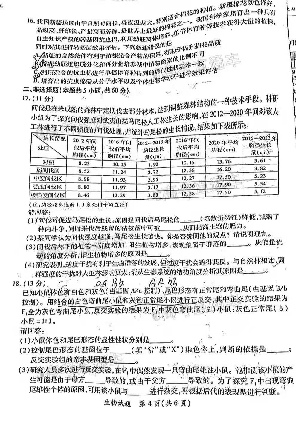 澳门精准资讯大全4949，深度解析解答_驱动版TXE299.6