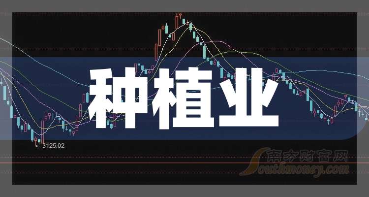 2024年11月8日随州新闻快报，聚焦最新动态