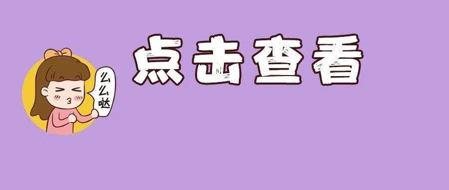 初学者进阶指南，掌握沈飞最新技术——步骤详解（2024年11月8日版）