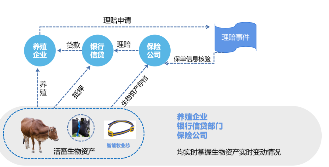 新澳精准资料免费提供最新版,资源实施策略_更新版AOS890.12