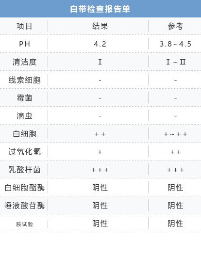 2024正版免费天天开奖，精选解读_在线版ZTM455.04攻略