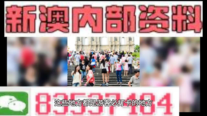 新澳精准资料大放送第221期：动态素材方案解析_解放版SFP618.24