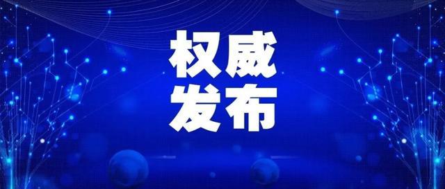 本月武防指深度解读，背景、重大事件与影响分析