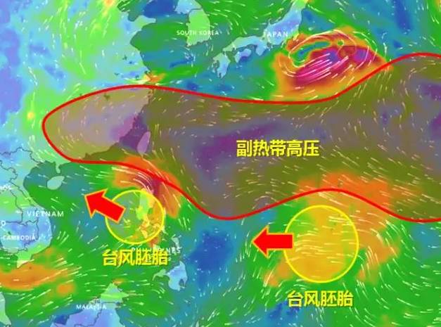 台风胚胎2，家的温馨与故事展映