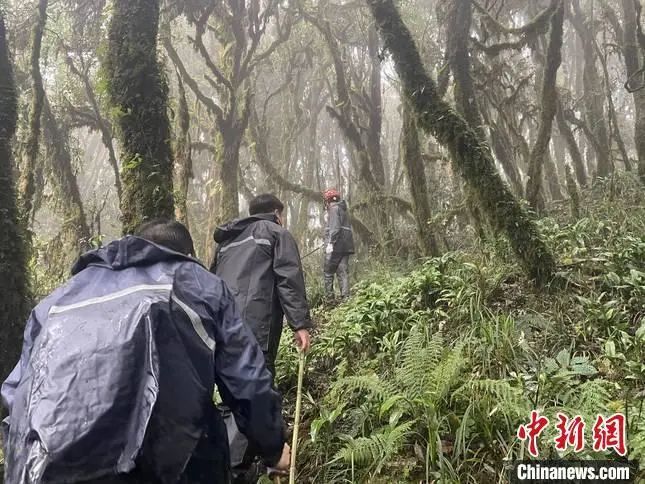 胡小妹失联奇遇，自然美景中的心灵探索之旅最新消息