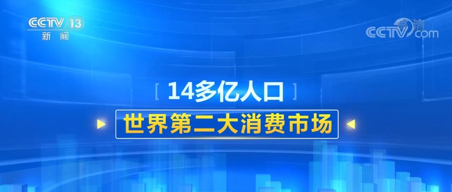 赵帅新品全面评测，特性、体验、竞品对比及用户群体深度剖析