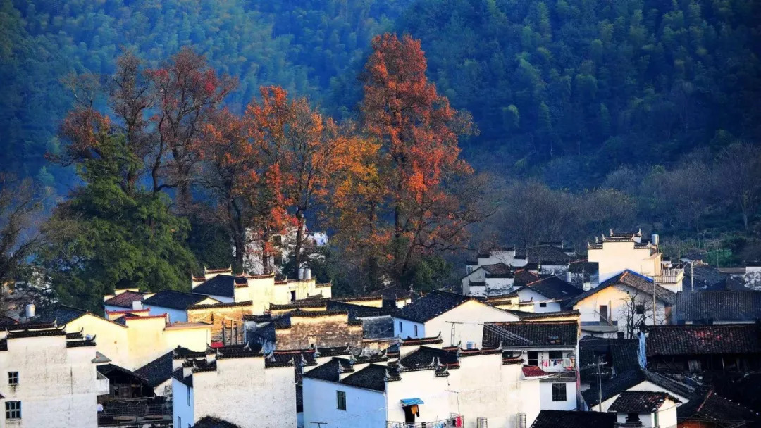 往年11月营山一环路最新动态，诗意栖息地与追寻内心平静的旅程