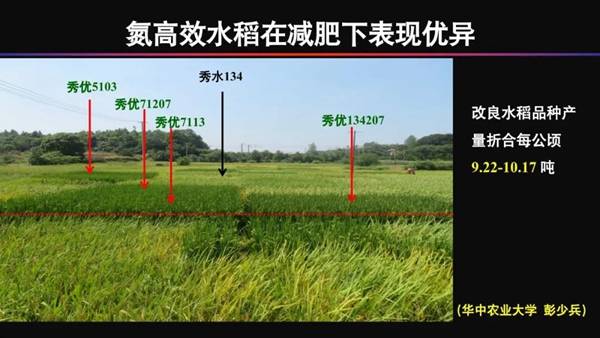 铅蓄电池回收 第304页