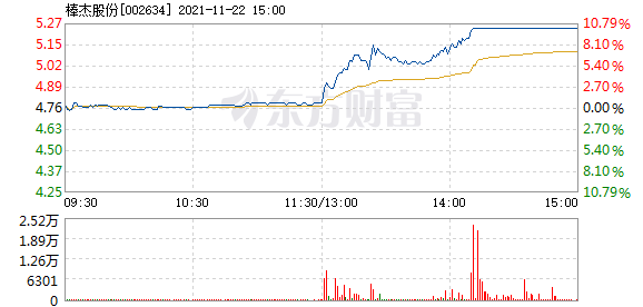 棒杰股份最新动态，产品特性、用户体验与市场竞争力分析（2024年11月13日）