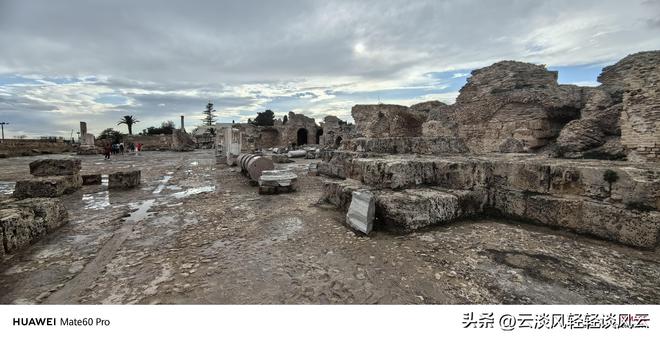 探寻历史上的狼窝最新地址，详细步骤指南（附日期，11月13日）