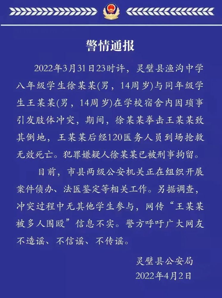 11月14日沙子最新政策详解与操作指南手册，政策解读与操作建议