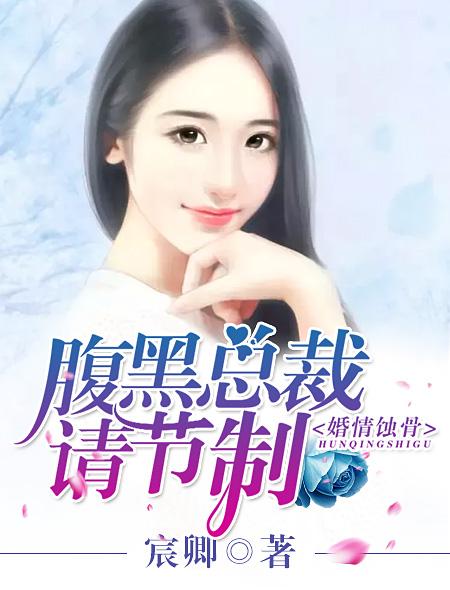 多重维度解读与探讨，女婿之道——最新章节揭晓