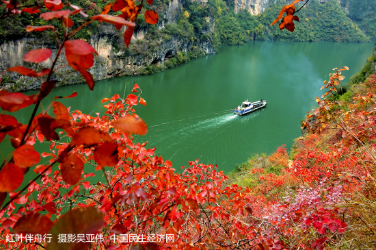 揭秘十一月手机市场新宠，探寻自然美景的心灵觉醒之旅