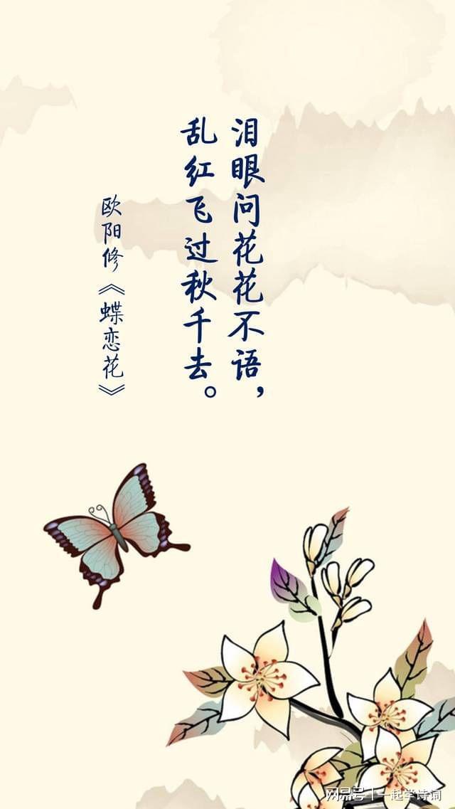 从入门到精通，蝶恋花词创作指南与最新创作步骤