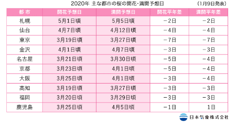 揭秘往年1月17日国产四级考试最新动态与要点深度解析