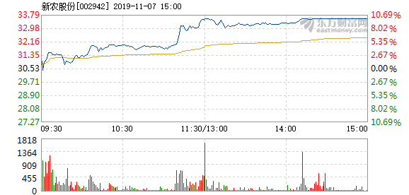 历史上的11月19日新农股份最新消息深度解析与探讨