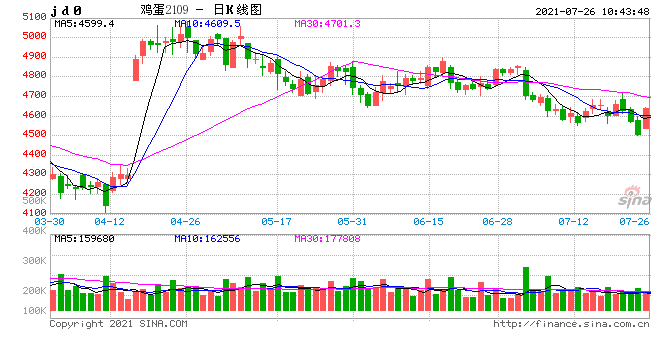 2024年11月 第226页