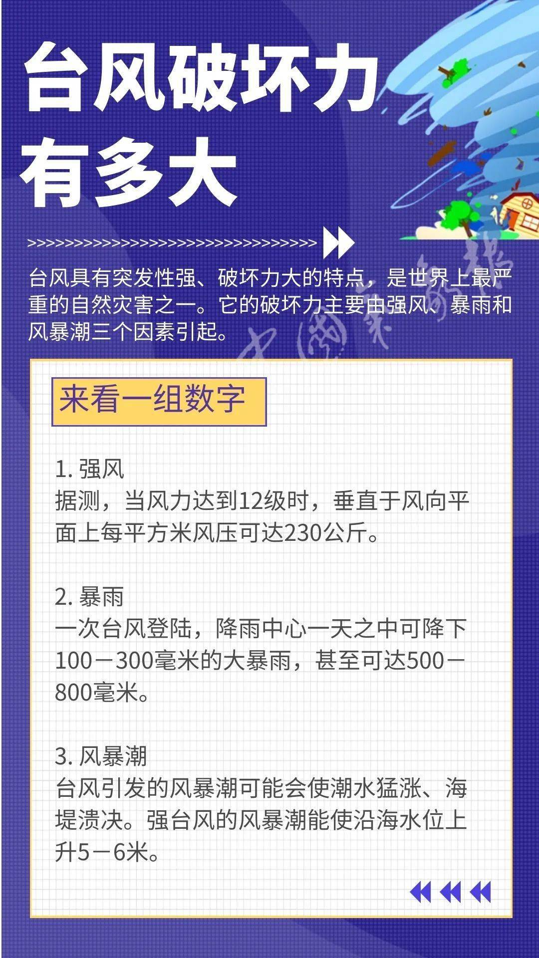 揭秘，坂本大和最新公众号动态 11月20日更新速递