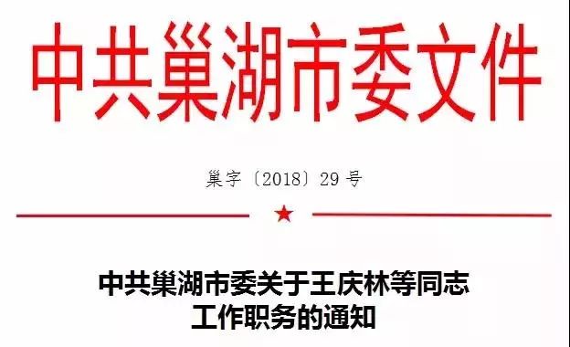 巢湖市最新人事任免详解，流程公布，适用于初学者与进阶用户