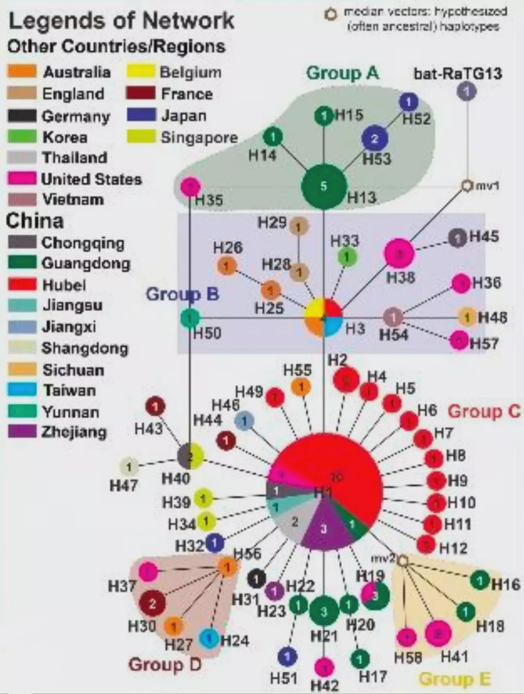 历年11月22日病毒深度解析，小红书揭秘最新病毒热点