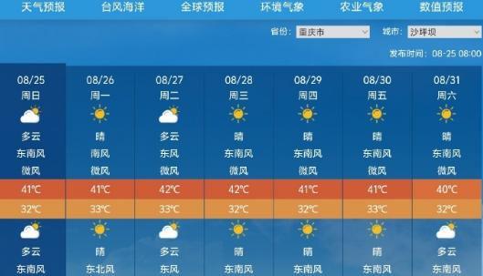 2024年宝雕最新款，驾驭未来的翅膀，与变化共舞自信闪耀人生舞台