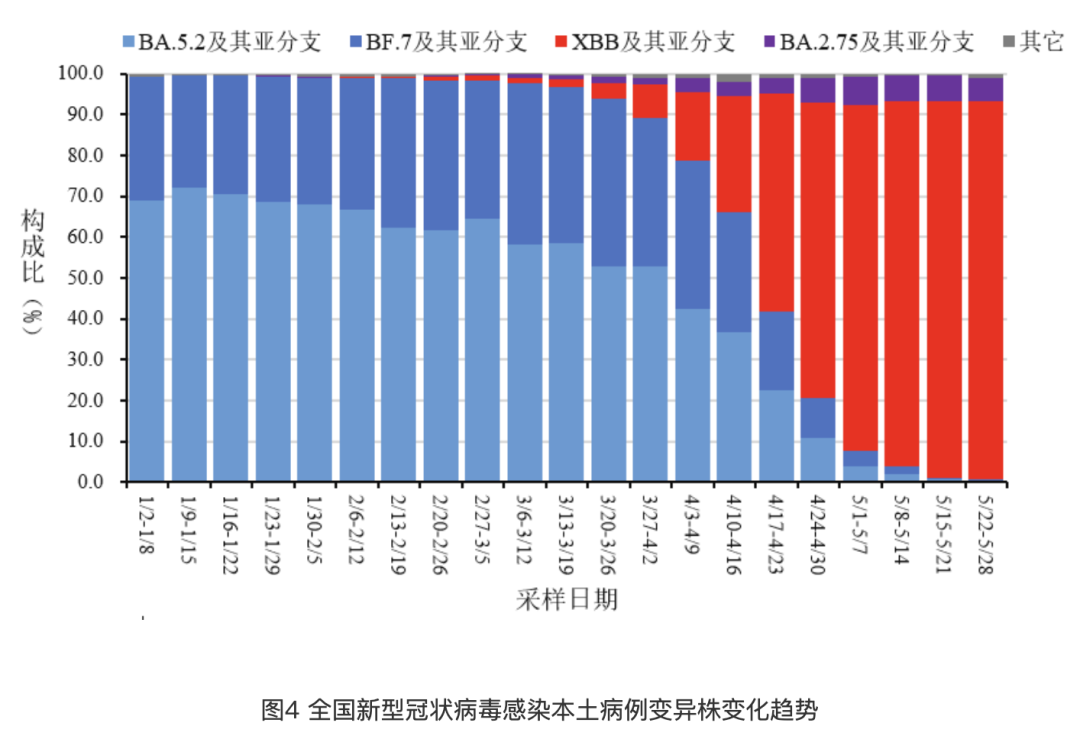 2024年11月 第136页