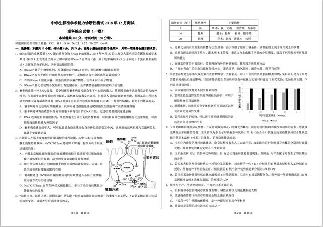 探秘小巷深处的宝藏，揭秘最新特色小店之旅的理综套卷体验