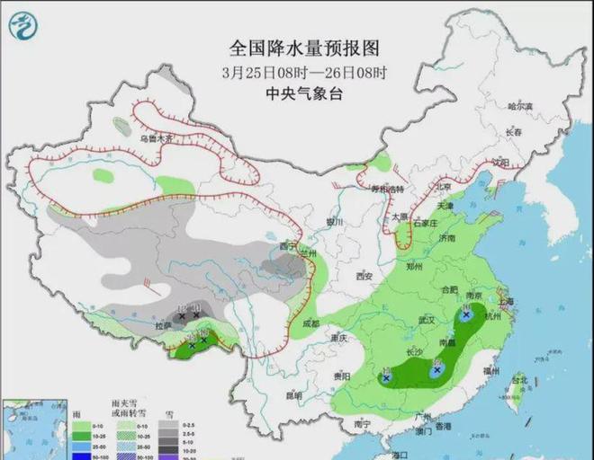 历史上的11月25日宜良疫情现状与影响分析，疫情观点探讨