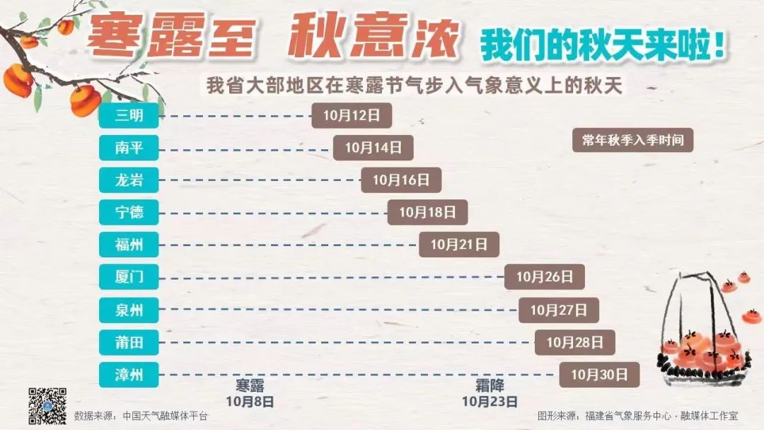 11月废纸行情深度解析，从入门到精通的指南与步骤详解