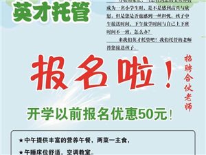 揭秘临朐招聘风向标，历年11月25日最新招聘信息深度解析