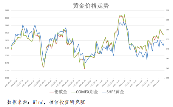 金天国际探秘之旅，心灵奇缘与美景相伴的2024年11月25日